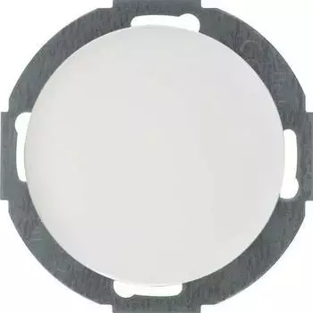 Berker Serie R.classic Blindverschluss, polarwei&szlig; gl&auml;nzend (10092079)