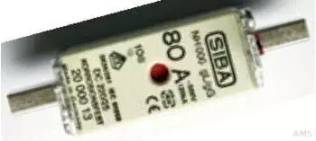 Siba NH-Sicherungseinsatz NH000 63A gl/gg 500V (2000013.63)