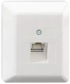 Rutenbeck UAE 8(8) Ap rw UAE-Anschlussdose, 1-fach, Aufputz, 8-polig, 8 Schraubkontakte, reinwei&szlig; (13010129)