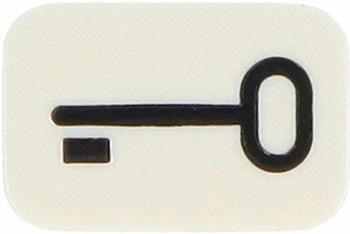 Busch-Jaeger Tastersymbol Schlüssel (2525 TR-214)