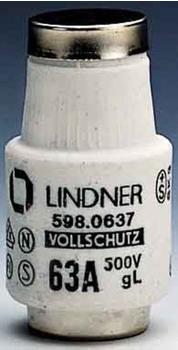 Mersen D-Sicherungseinsatz 597.6107