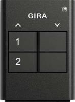 Gira Giersiepen 535210, Gira Giersiepen GIRA 535210 eNet Funk Handsender 2fach