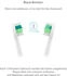 truelife SonicBrush Compact Heads White Standard 8 Stk.