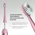Ailoria Sommer-Edition Shine Bright USB-Sonic Toothbrush