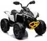 Lean Toys CAN-AM Renegade Kinder-Elektroquad 12V 4x45W Bluetooth weiß