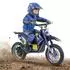 Hecht Pocketbike 54502 Elektro 500W 36V 8Ah blau (54502)