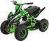 Actionbikes Racer 1000 W schwarz/grün