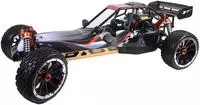Amewi RC Auto Pitbull X Desert Buggy /14+
