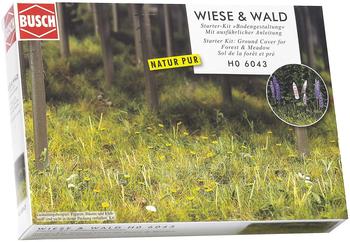 Busch Starter-Kit: Bodengestaltung Wiese & Wald (6043)