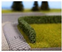 21524 Hecke 10 Mm Dunkelgr&uuml;n - Noch