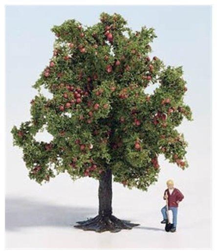 Noch Apfelbaum (28113)