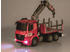 Carson Arocs Holztransporter RC Mercedes Truck 1:20 (500907315)