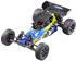 Reely Brushed 1:10 RC Modellauto Elektro Buggy Buzz 100% RtR 2,4 GHz (RE-6720009)