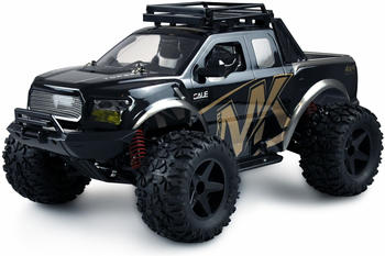 Amewi Warrior Monster Truck 1:10 RTR schwarz/gold