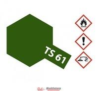 TAMIYA TS61 NATO-Grau