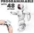 Silverlit Ycoo Program A Bot X