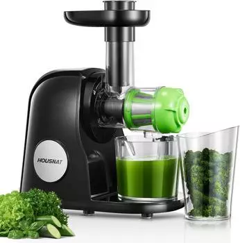 HOUSNAT Slow Juicer mit leisem Motor, Umkehrfunktion und 2 Filtern