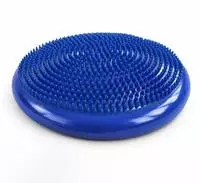 WPSD-01 Sensorkissen f&uuml;r die Rehabilitation Igel - blau