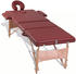 vidaXL Therapy Table 3 Zones Wood