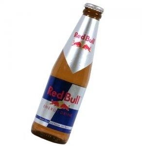Red Bull Energy Drink 24x0,25l Glasflasche