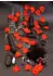 ToyJoy Amazing Pleasure Sex Toy Kit Black