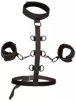 CalExotics Boundless Collar Restraint