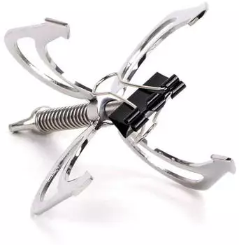 Kiotos Dragon Claw