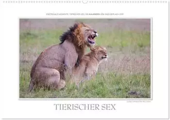 Calvendo Emotionale Momente: Tierischer Sex. (Wandkalender 2026 DIN A2 quer), Monatskalender
