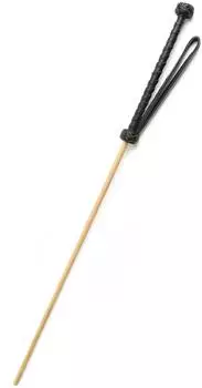 Hidden Desire The Obedience Cane Black