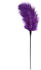 EasyToys Fetish Collection Feder Tickler Mittel