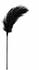 EasyToys Fetish Collection Feder Tickler Mittel