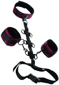 CalExotics Scandal Collar Body Restraint Black