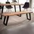 Finebuy Sitzbank Baumkante Akazie Massivholz 160cm (FB68417)
