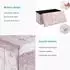 Intirilife Faltbare Sitzbank mit Stauraum, Samt, rosa, 76x38x38cm (IL-100430)