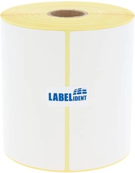 Labelident DHL Versandetiketten 103 x 199 mm, formatgleich: DHL 910-300-600 Common Label, 1 Zoll, Thermo-Eco Papier, 250 DHL Etiketten auf 1 Rolle/n