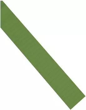 magnetoplan Ferrocard-Etiketten gr&uuml;n 60x15mm (1286305)