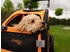 TrendPet DogBus (S)