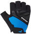 Ziener Caecilius Short Gloves Men (988217-798-10) blue/black
