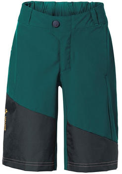 VAUDE Bike Moab Stretch Shorts Green