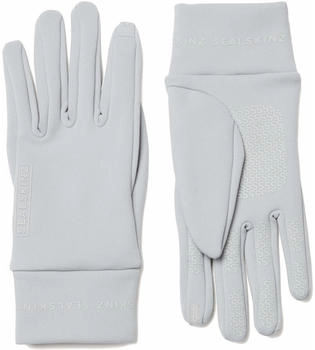 SealSkinz ACLE Winterhandschuhe grau