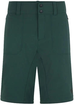 Ziener Fahrrad-Shorts 'Nektor X-Function Man' dunkelgrün 529