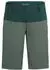 VAUDE Qimsa II Shorts (48682) gruen