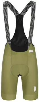 Q36,5 Gregarius Pro Bib Shorts grün