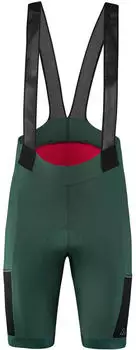 L&ouml;ffler Skys XT Bib Shorts Short (30405) forest