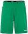 Craft Evolve 2.0 Shorts grün
