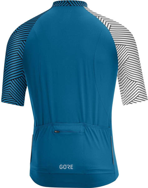 Gore WEAR C5 Optiline Shirt Men (2021) sphere blue/white