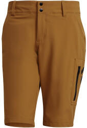 Five Ten BOTB Shorts Men (mesa)