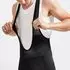 Craft Core Endur Bib Shorts black