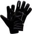 Craft Siberian 2.0 Glove black