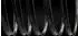 RaceFace ARC Offset Felge